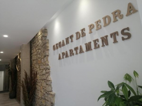 Gegant de Pedra Apartaments